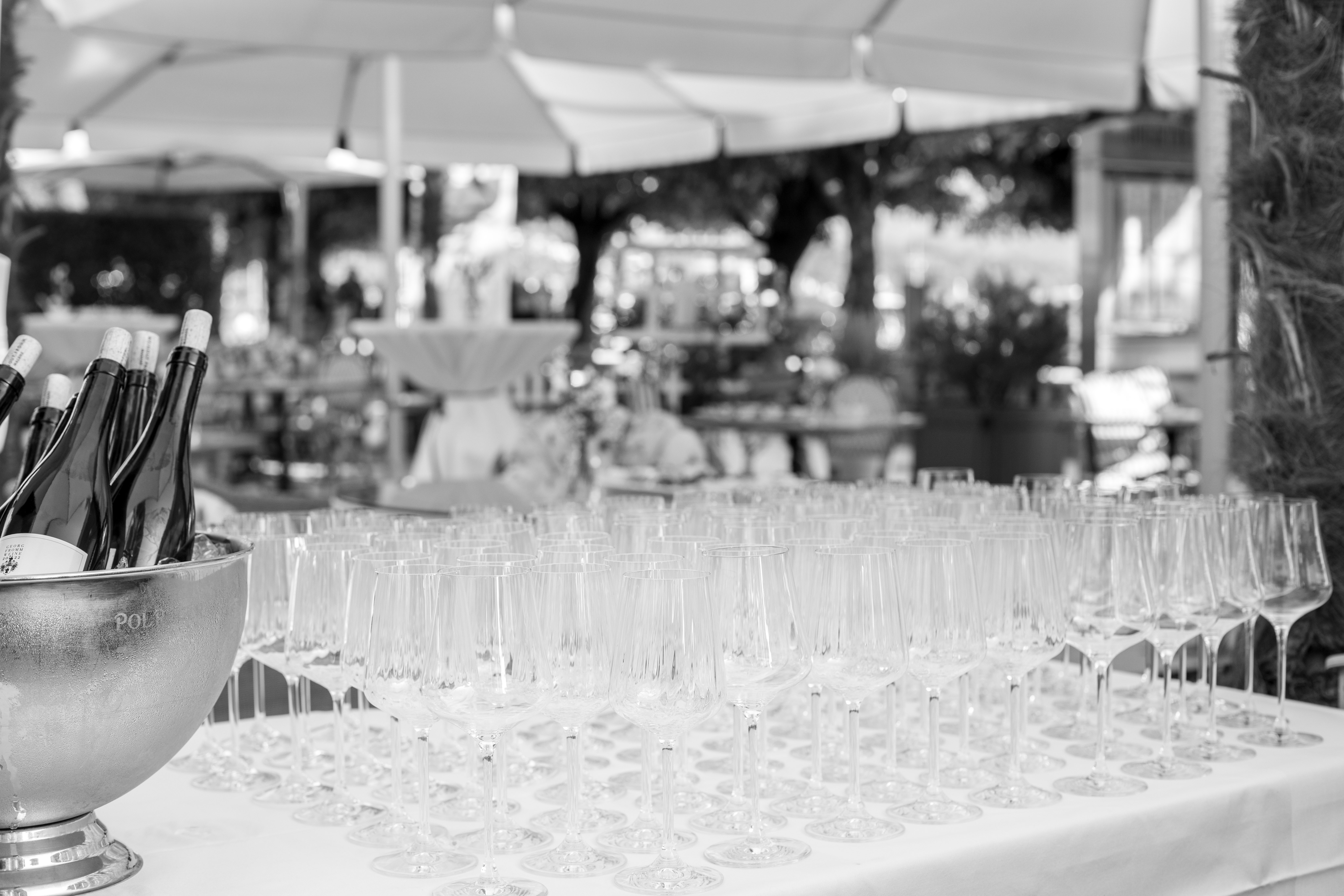 MG 7613Hotel National Wedding