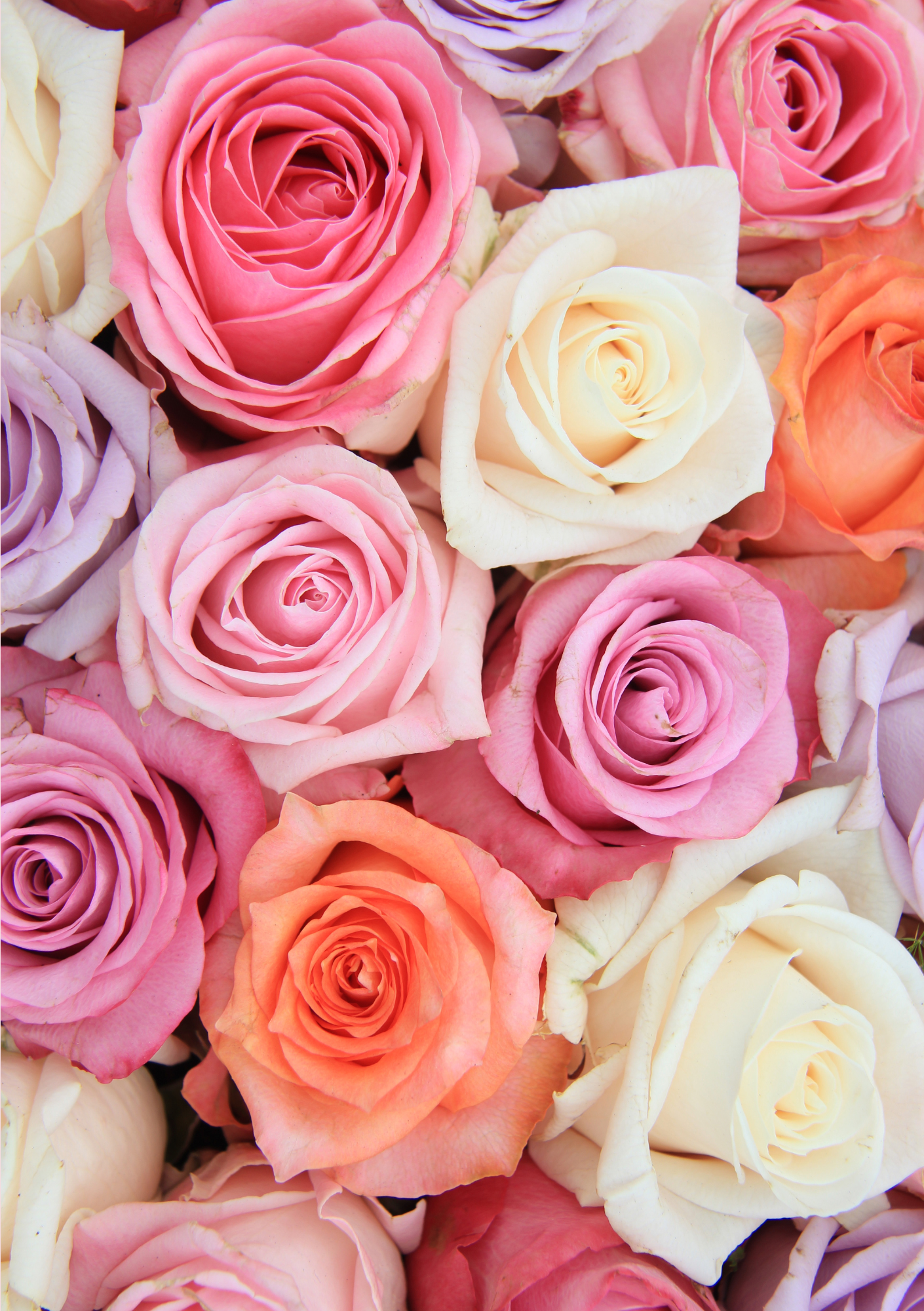 Valentinstagmenü 2025 ENG (2)