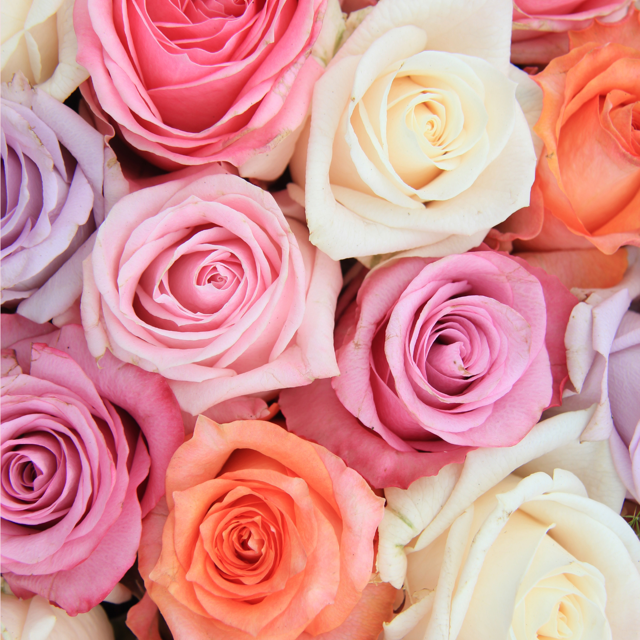 Valentinstagmenü 2025 ENG (2)