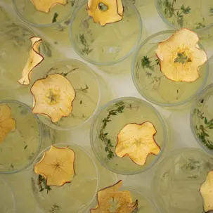 Juliette Opening 122